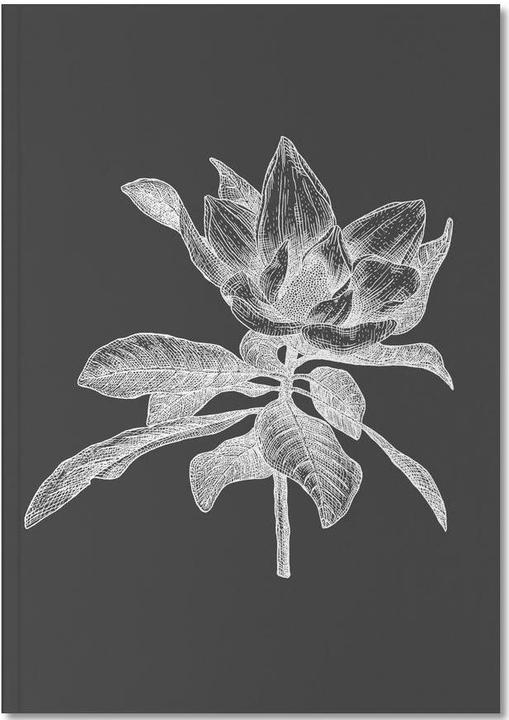 Image du produit Juniqe Magnolia - Croquis au crayon (A5, Blanc, Couverture rigide)