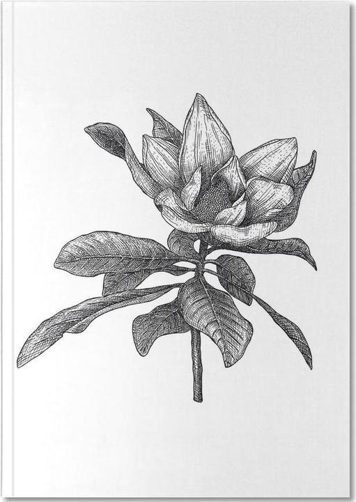 Image du produit Juniqe Magnolia - Croquis au crayon (A5, Blanc, Couverture rigide)