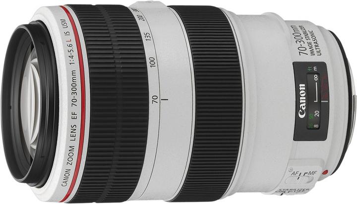 Actual product image Canon EF 70-300mm f/4-5.6L IS USM (Canon EF, full size)