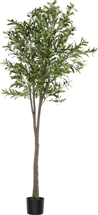 Immagine prodotto tectake Olivo Oleand (210 cm)