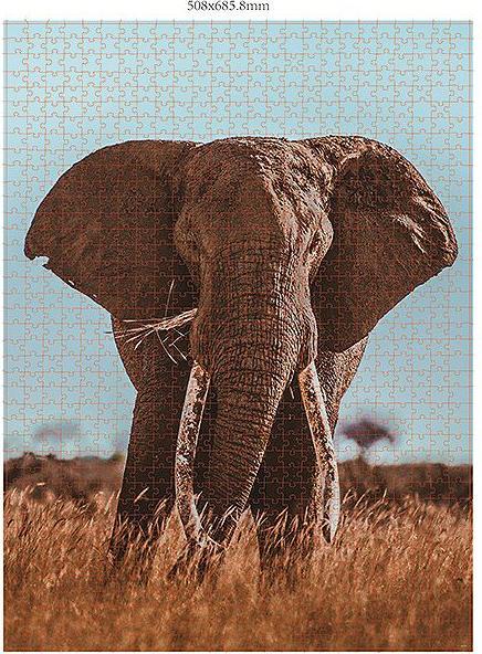 Produktbild Merchant Ambassador Wildtiere Blickkontakt Donal Boyd (1000 Teile)