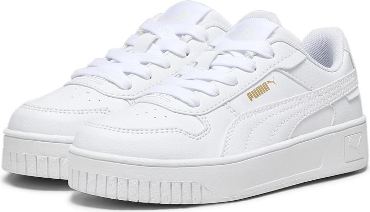 Puma Carina Street PS