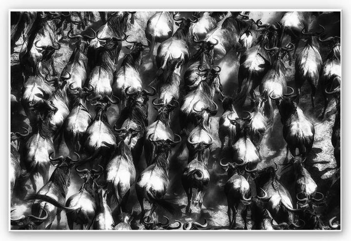 Image du produit Trenddeko Alnaser - La grande évasion (45 x 30 cm)