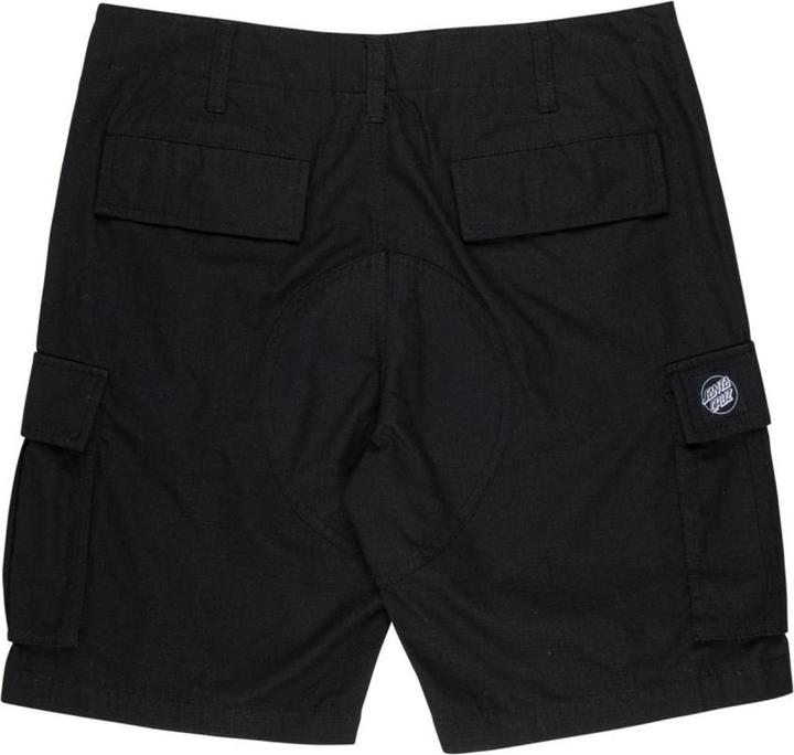 Actual product image Santa Cruz Gauntlet shorts (28)