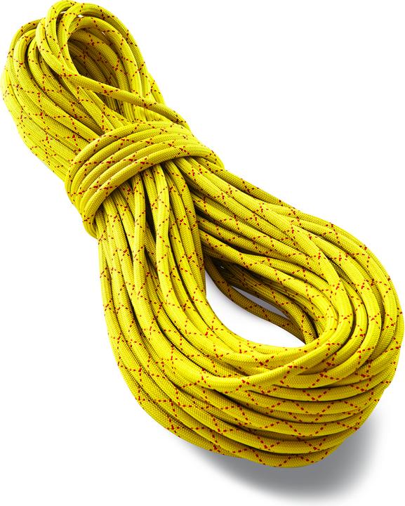 Tendon Corde statique SALAMANDER 102 (30 m)