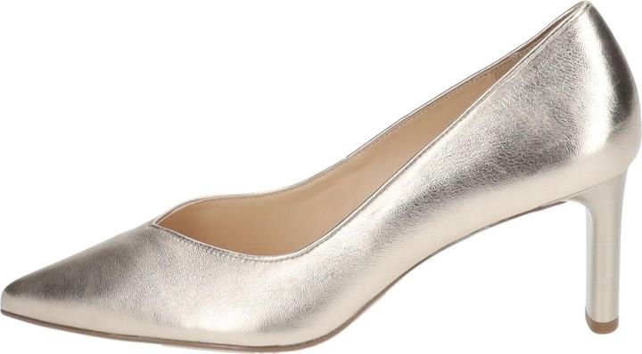 Actual product image Högl Pumps (34.5)