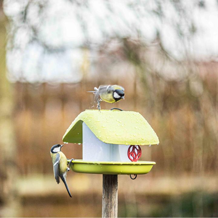 Produktbild Siena Garden Vogelhäuschen