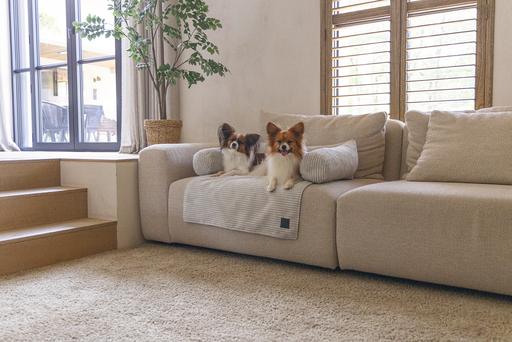 Image du produit Designed by Lotte Coussin de canapé Ribbed (Chien)