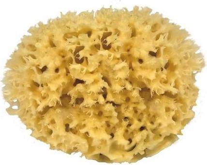 Actual product image Croll & Denecke Natural Sponge M 140 140 (EU)