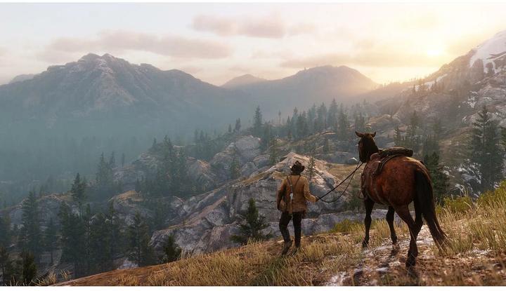 Actual product image Rockstar Red Dead Redemption 2 (PS4, DE)