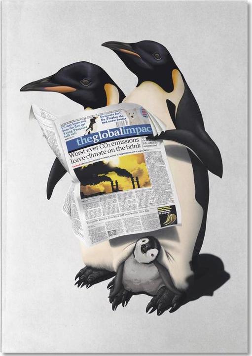 Produktbild Juniqe Read All Over - Pinguine (A5, Liniert)