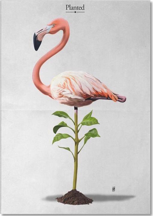 Actual product image Juniqe Planted (titled) - Creatures & Hybrids (A5, Plain)