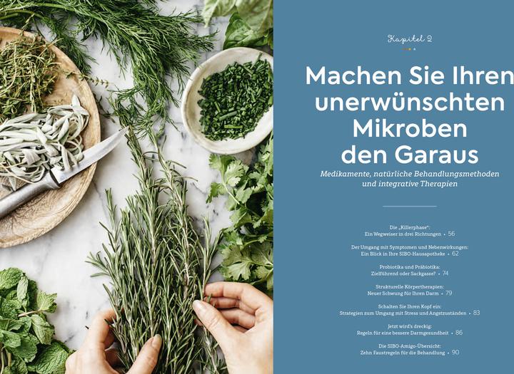 Actual product image SIBO - Wenn der Darm in Aufruhr ist (German, Phoebe Lapine, 2021)