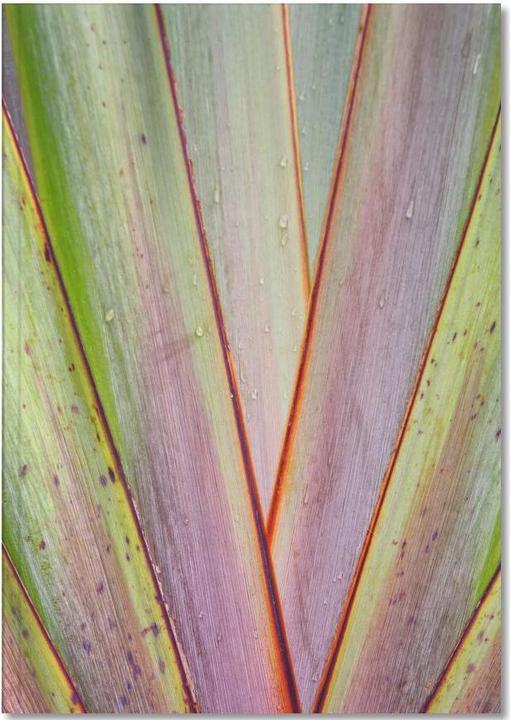 Actual product image Juniqe Flax Pattern - Leaves & Plants (A4, Lined)
