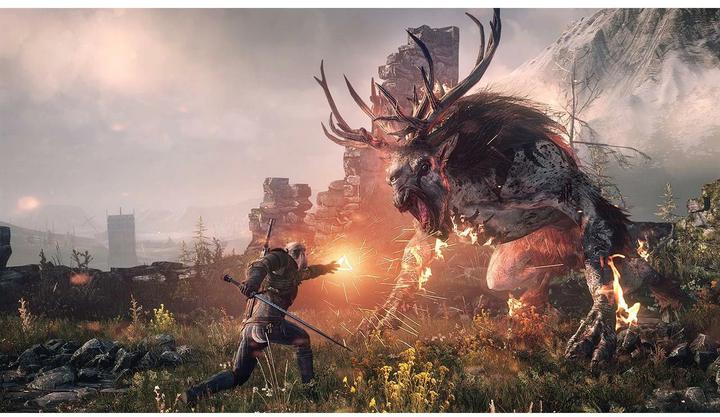 Produktbild Bandai Namco The Witcher 3: Wild Hunt (Switch, DE)