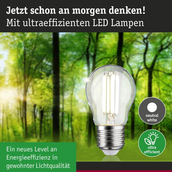 Actual product image Paulmann Tropfen Eco-Line (E27, 2.50 W, 525 lm, 1 x, A)