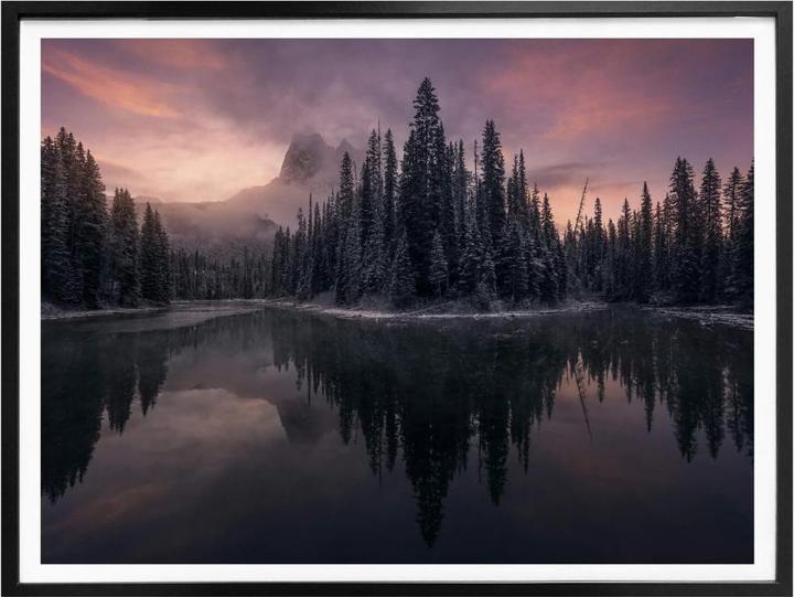 Immagine prodotto Trenddeko Foresta delle fiabe (100 x 80 cm)