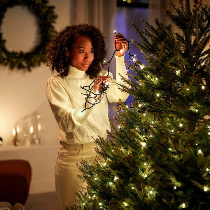 Productafbeelding Philips Hue Festavia (EU-stekker) (20 m)