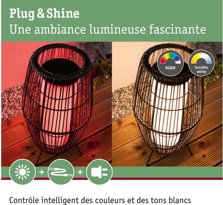 Produktbild Paulmann Outdoor Plug & Shine Basket (260 lm, IP44)