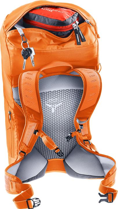 Actual product image Deuter AC Lite 22 (22 l)