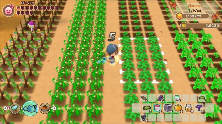 Produktbild Marvelous Story of Seasons : Friends of Mineral Town (Switch, FR)