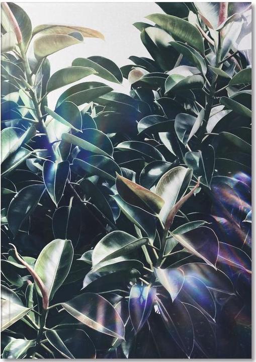 Image du produit Juniqe Bliss - Feuilles & Plantes (A4, Blanc)