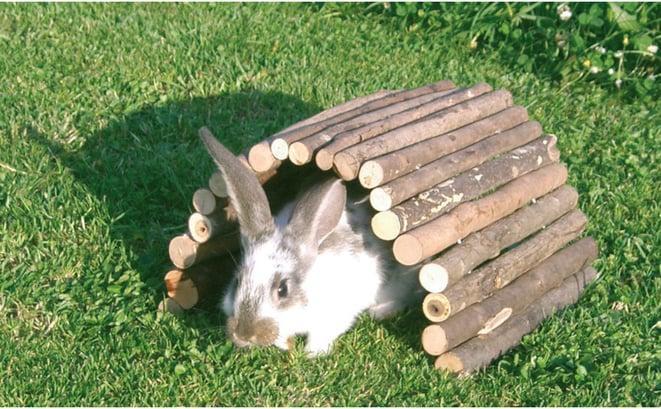 Actual product image Kerbl Wooden bridge