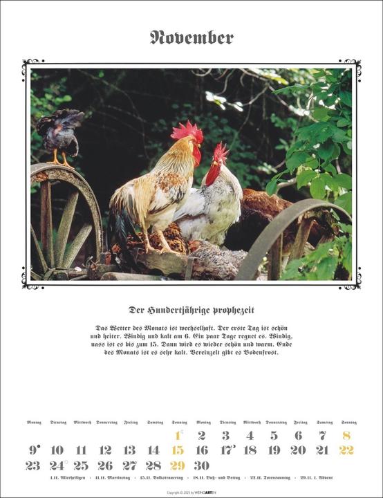 Produktbild Der Hundertjährige Kalender 2026 (30 x 39 cm, Deutsch)