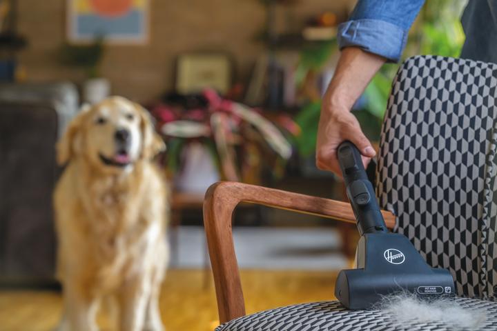 Productafbeelding Hoover HE520PET - Stofzuiger met zak Pet - 3,5 l