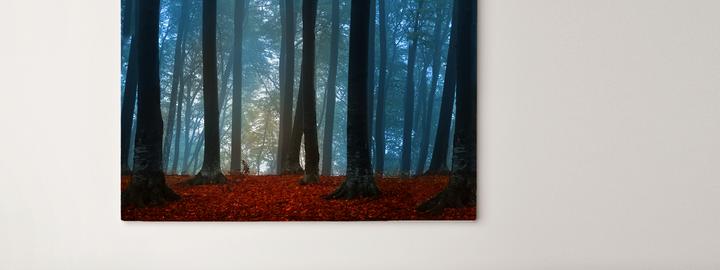 Actual product image AOC i2781FH (1920 x 1080 pixels, 27")