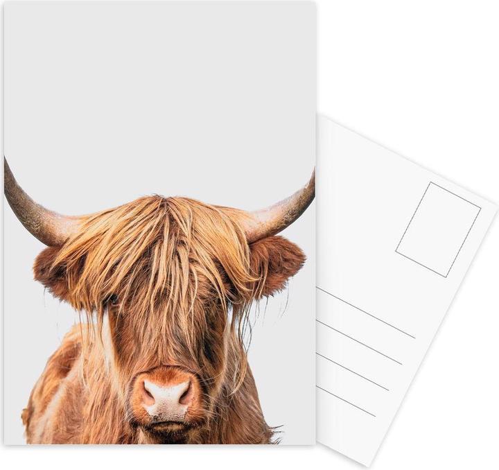 Produktbild Juniqe Highland Cow - Kühe (3 Stk.)