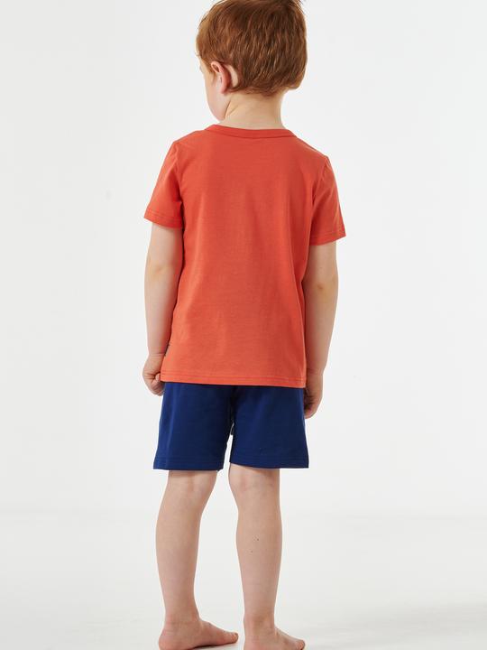 Produktbild Schiesser Pyjama Natural Love Organic Cotton (98)