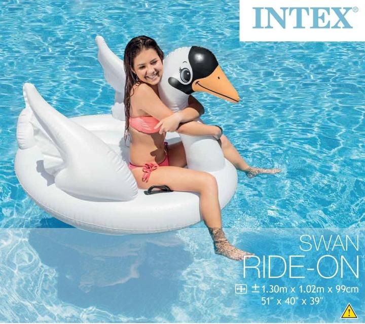 Actual product image Intex Swan ride-on