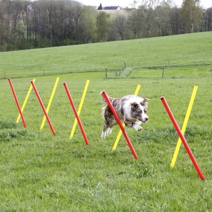 Produktbild Kerbl Komplett-Set (One Size, Agility)