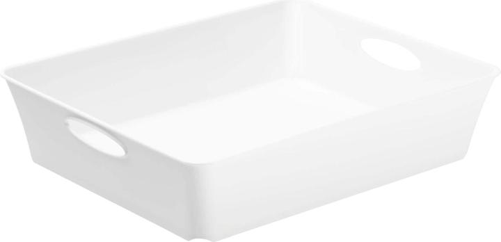 Immagine prodotto Rotho Scatola vivente (21,5 x 6 x 21,5 cm, 0 l)