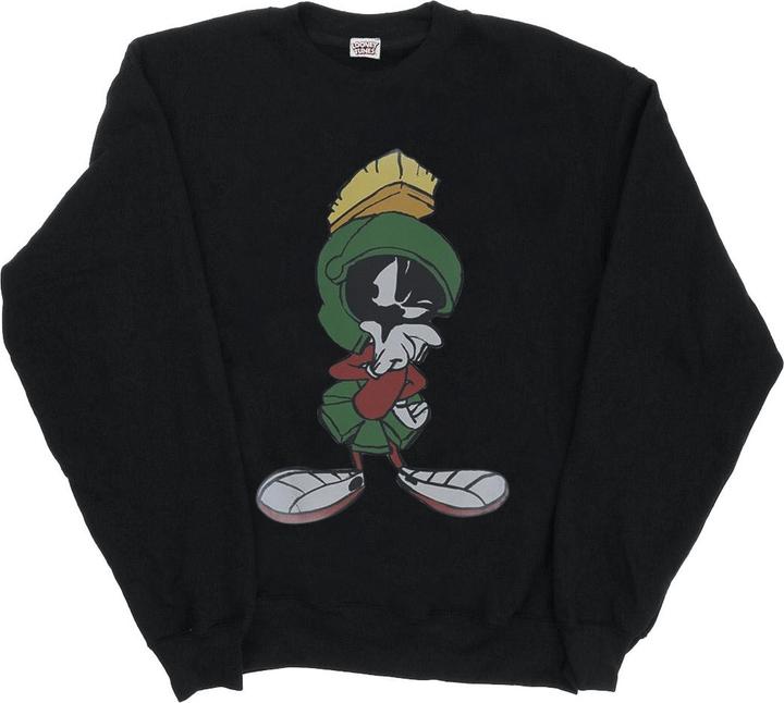 Looney Tunes Sweatshirt (M)