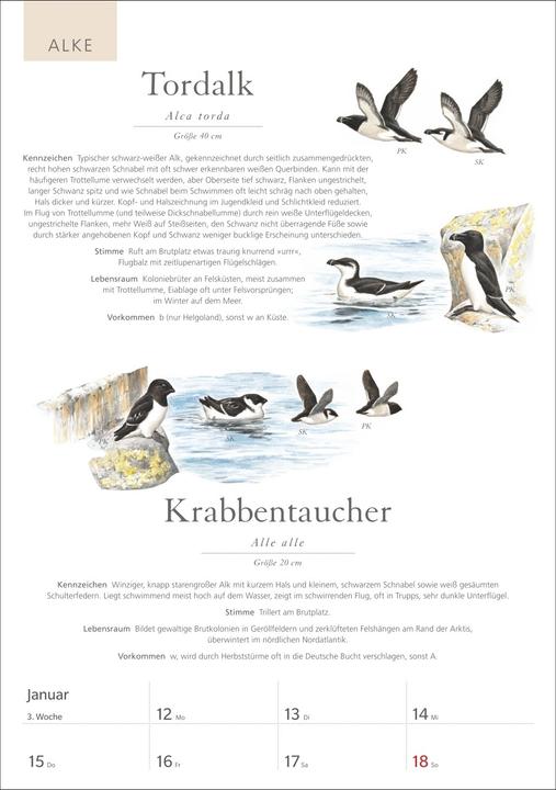Produktbild Harenberg KOSMOS Was fliegt denn da? Wochenplaner 2026 - Der Kalender zum KOSMOS-Naturführe (Deutsch)