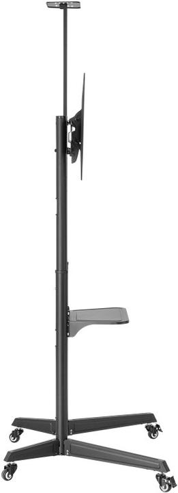 Actual product image Goobay TV Presentation Stand Pro Size L (Various, 70", 50 kg)