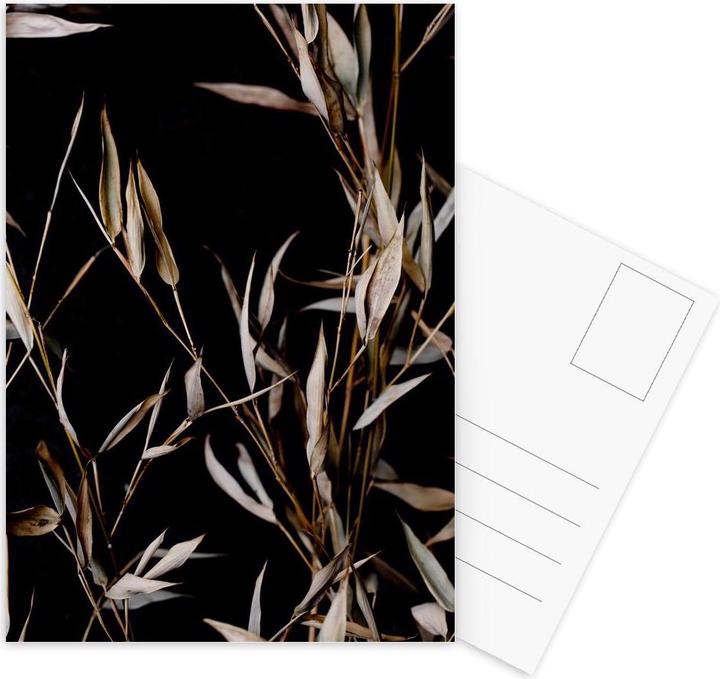 Actual product image Juniqe Last Summer 4 - Leaves & Plants (5 pcs.)