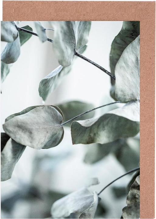 Image du produit Juniqe Eucalyptus 8 - Feuilles & Plantes (5 pcs)