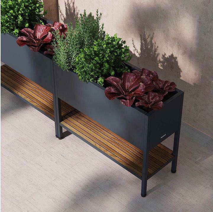 Image du produit Herstera Deco Grow