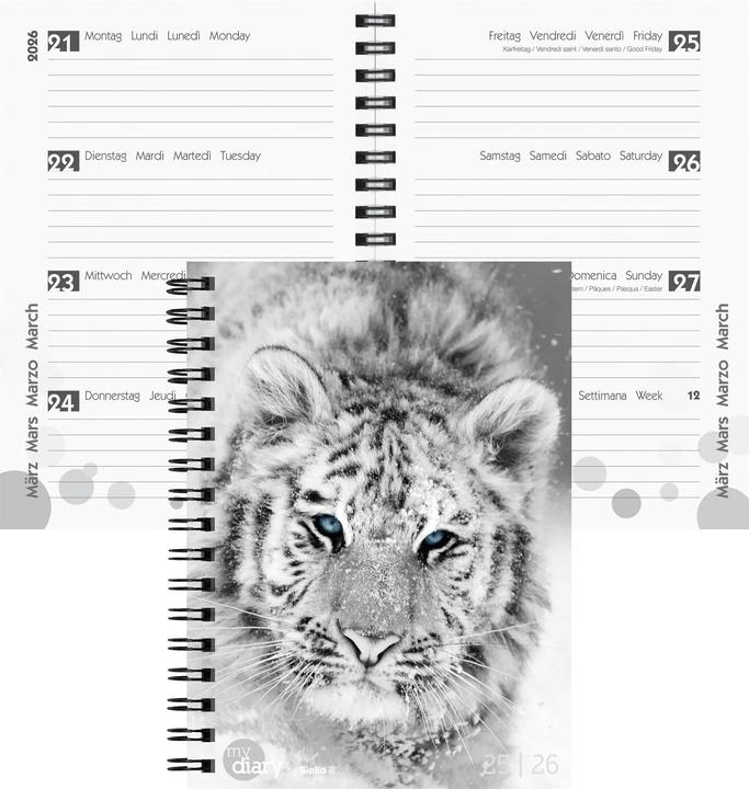 Biella Schüleragenda mydiary Wire-O (12 x 16.5 cm, Multilingual)