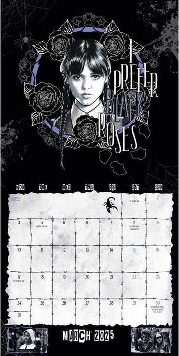 Actual product image Wednesday 2025 Wall Calendar (30 x 30 cm)