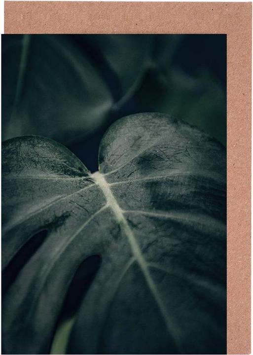 Image du produit Juniqe Moody Monstera 2 - Feuilles & Plantes (5 pcs)