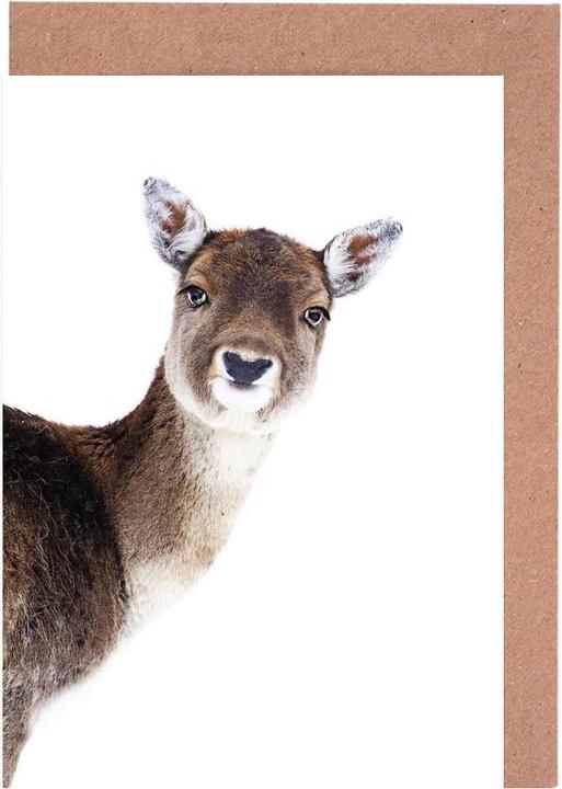 Image du produit Juniqe Deer Peekaboo - Cerfs (5 pcs)