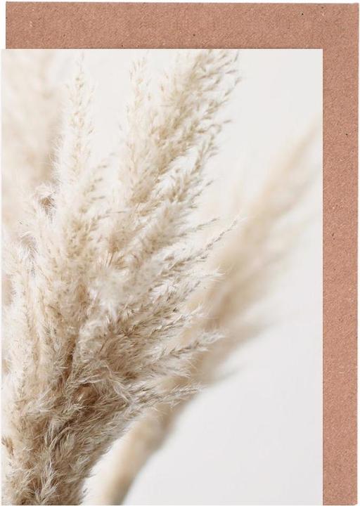 Produktbild Juniqe Pampas-Gras (3 Stk.)