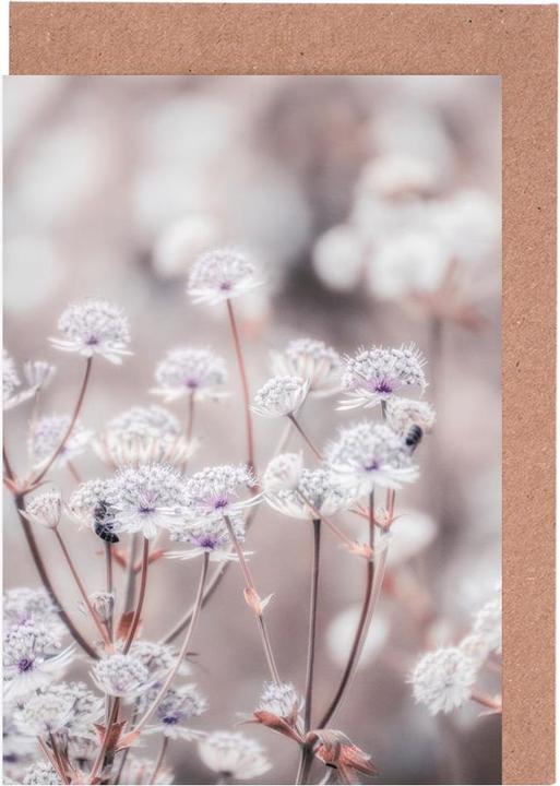 Image du produit Juniqe Wild Flower Pastel 04 - Fleurs (5 pcs)