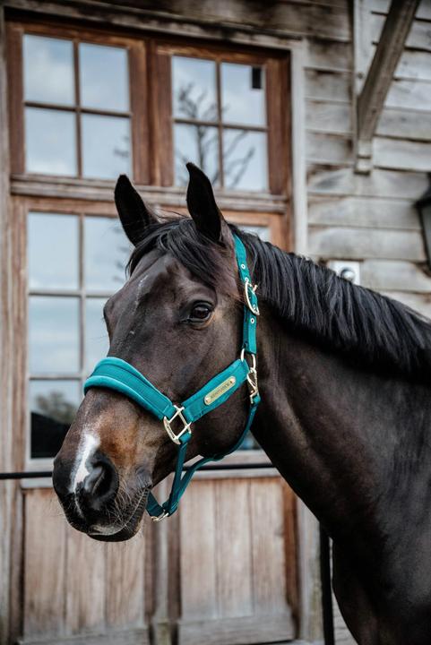 Produktbild Kentucky Horsewear Samthalfter