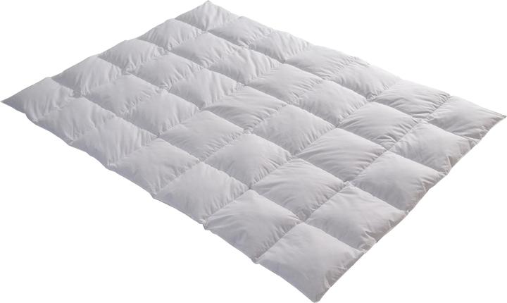 Actual product image Feelings by billerbeck Lara (800 g, 160 x 210 cm)