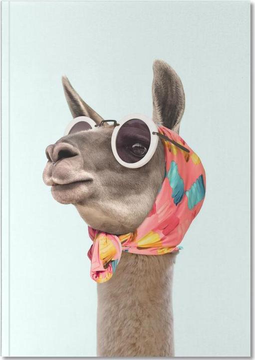 Image du produit Juniqe Fashion Llama - Lamas (A4, Pointillés)